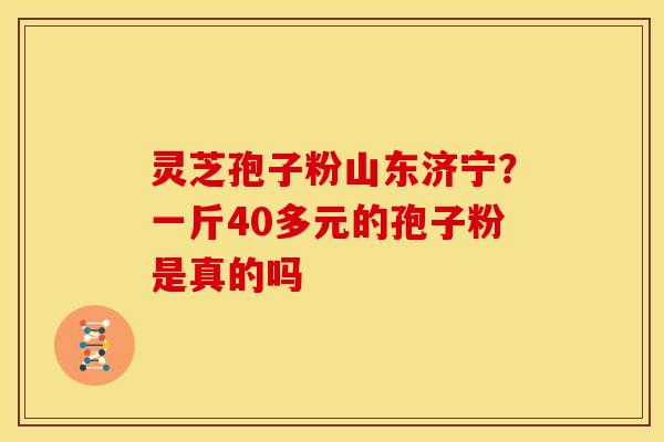灵芝孢子粉山东济宁?一斤40多元的孢子粉是真的吗 灵芝孢子粉山东济宁?一斤40多元的孢子粉是真的吗