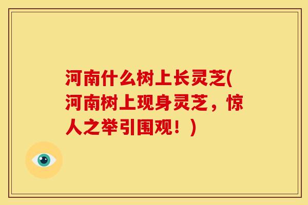 河南什么树上长灵芝(河南树上现身灵芝,惊人之举引围观!) 河南什么树上长灵芝(河南树上现身灵芝,惊人之举引围观!)