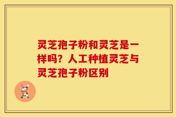 灵芝孢子粉和灵芝是一样吗?人工种植灵芝与灵芝孢子粉区别 灵芝孢子粉和灵芝是一样吗?人工种植灵芝与灵芝孢子粉区别