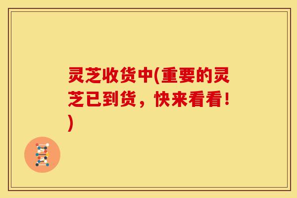 灵芝收货中(重要的灵芝已到货,快来看看!) 灵芝收货中(重要的灵芝已到货,快来看看!)