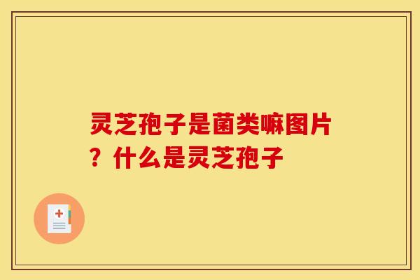 灵芝孢子是菌类嘛图片?什么是灵芝孢子 灵芝孢子是菌类嘛图片?什么是灵芝孢子