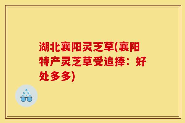 湖北襄阳灵芝草(襄阳特产灵芝草受追捧:好处多多) 湖北襄阳灵芝草(襄阳特产灵芝草受追捧:好处多多)