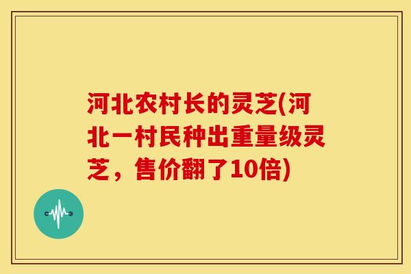 河北农村长的灵芝(河北一村民种出重量级灵芝,售价翻了10倍) 河北农村长的灵芝(河北一村民种出重量级灵芝,售价翻了10倍)