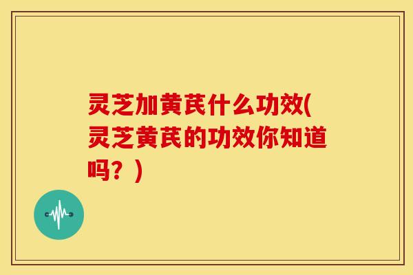 灵芝加黄芪什么功效(灵芝黄芪的功效你知道吗?) 灵芝加黄芪什么功效(灵芝黄芪的功效你知道吗?)