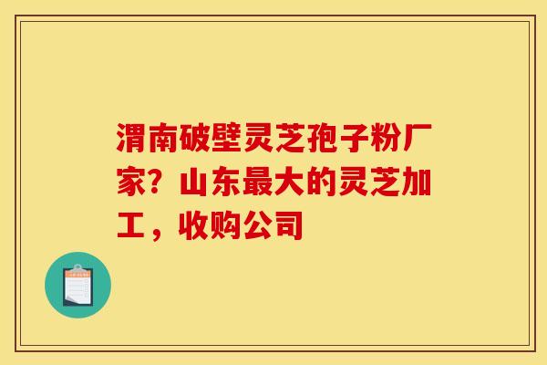渭南破壁灵芝孢子粉厂家?山东大的灵芝加工,收购公司 渭南破壁灵芝孢子粉厂家?山东大的灵芝加工,收购公司