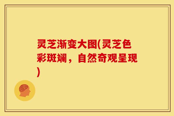 灵芝渐变大图(灵芝色彩斑斓,自然奇观呈现) 灵芝渐变大图(灵芝色彩斑斓,自然奇观呈现)