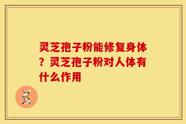 灵芝孢子粉能修复身体?灵芝孢子粉对人体有什么作用 灵芝孢子粉能修复身体?灵芝孢子粉对人体有什么作用