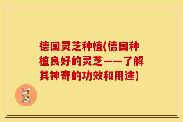 德国灵芝种植(德国种植良好的灵芝——了解其神奇的功效和用途)