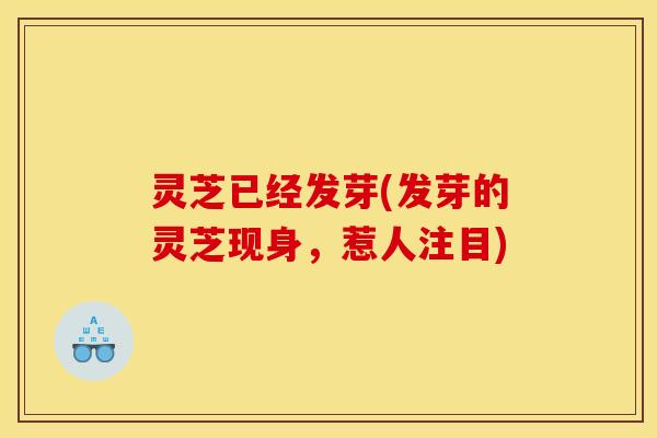 灵芝已经发芽(发芽的灵芝现身,惹人注目) 灵芝已经发芽(发芽的灵芝现身,惹人注目)
