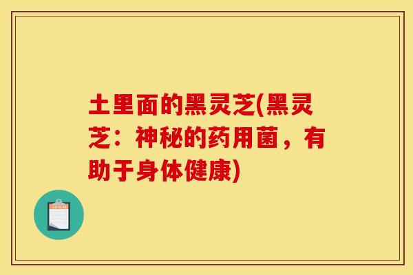 土里面的黑灵芝(黑灵芝:神秘的药用菌,有助于身体健康) 土里面的黑灵芝(黑灵芝:神秘的药用菌,有助于身体健康)