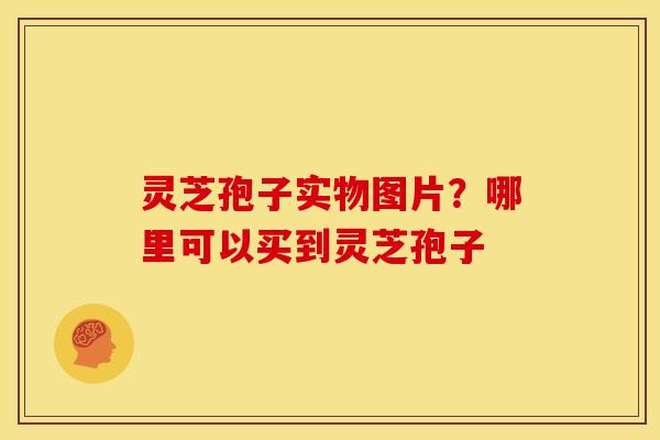 灵芝孢子实物图片?哪里可以买到灵芝孢子 灵芝孢子实物图片?哪里可以买到灵芝孢子