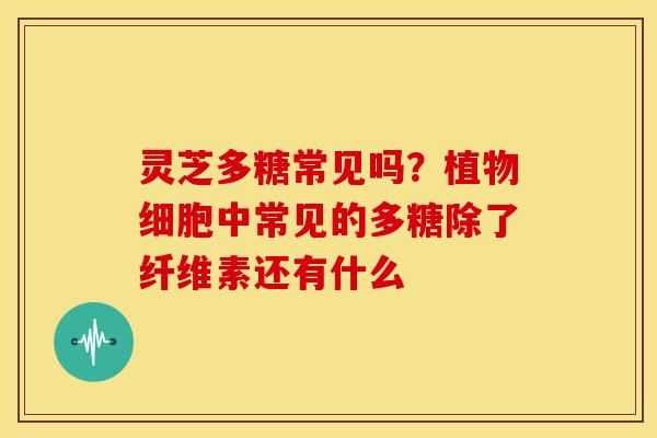 灵芝多糖常见吗?植物细胞中常见的多糖除了纤维素还有什么 灵芝多糖常见吗?植物细胞中常见的多糖除了纤维素还有什么