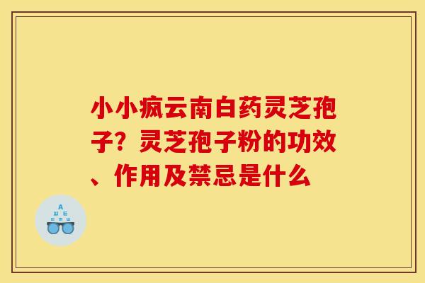 小小疯云南白药灵芝孢子？灵芝孢子粉的功效、作用及禁忌是什么