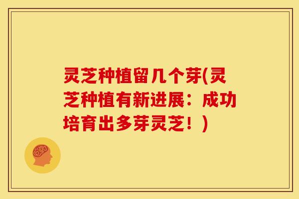 灵芝种植留几个芽(灵芝种植有新进展:成功培育出多芽灵芝!) 灵芝种植留几个芽(灵芝种植有新进展:成功培育出多芽灵芝!)
