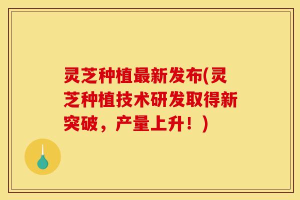 灵芝种植新发布(灵芝种植技术研发取得新突破,产量上升!) 灵芝种植新发布(灵芝种植技术研发取得新突破,产量上升!)