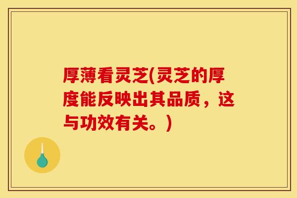 厚薄看灵芝(灵芝的厚度能反映出其品质,这与功效有关。) 厚薄看灵芝(灵芝的厚度能反映出其品质,这与功效有关。)