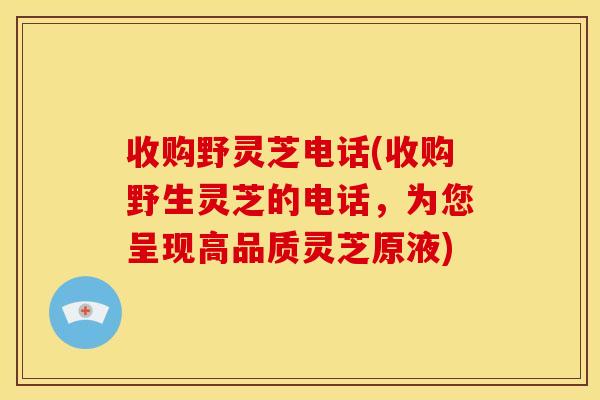 收购野灵芝电话(收购野生灵芝的电话,为您呈现高品质灵芝原液) 收购野灵芝电话(收购野生灵芝的电话,为您呈现高品质灵芝原液)