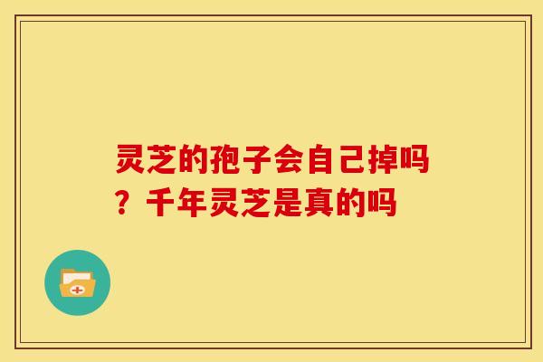 灵芝的孢子会自己掉吗?千年灵芝是真的吗 灵芝的孢子会自己掉吗?千年灵芝是真的吗