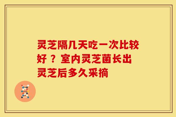 灵芝隔几天吃一次比较好 ?室内灵芝菌长出灵芝后多久采摘 灵芝隔几天吃一次比较好 ?室内灵芝菌长出灵芝后多久采摘