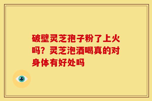 破壁灵芝孢子粉了上火吗?灵芝泡酒喝真的对身体有好处吗 破壁灵芝孢子粉了上火吗?灵芝泡酒喝真的对身体有好处吗