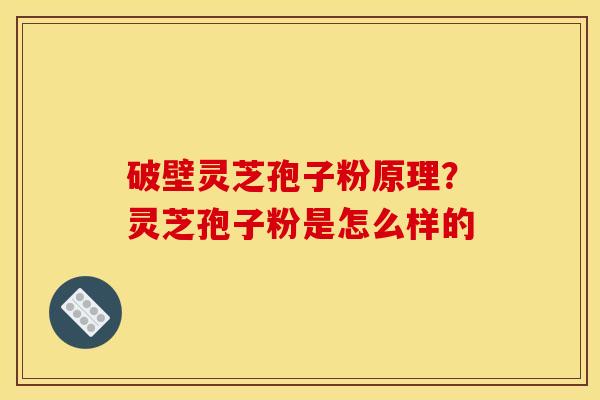 破壁灵芝孢子粉原理?灵芝孢子粉是怎么样的 破壁灵芝孢子粉原理?灵芝孢子粉是怎么样的