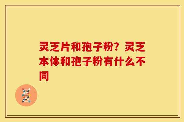 灵芝片和孢子粉？灵芝本体和孢子粉有什么不同