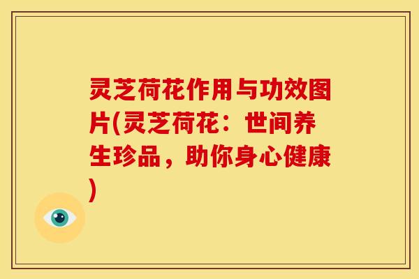 灵芝荷花作用与功效图片(灵芝荷花:世间养生珍品,助你身心健康) 灵芝荷花作用与功效图片(灵芝荷花:世间养生珍品,助你身心健康)