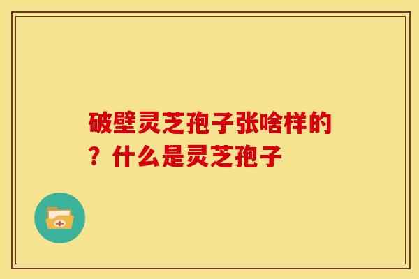 破壁灵芝孢子张啥样的?什么是灵芝孢子 破壁灵芝孢子张啥样的?什么是灵芝孢子