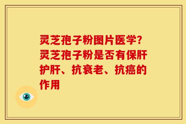 灵芝孢子粉图片医学?灵芝孢子粉是否有、抗、抗的作用 灵芝孢子粉图片医学?灵芝孢子粉是否有、抗、抗的作用