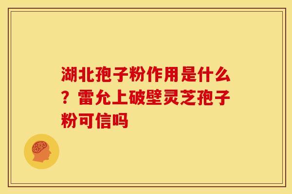 湖北孢子粉作用是什么?雷允上破壁灵芝孢子粉可信吗 湖北孢子粉作用是什么?雷允上破壁灵芝孢子粉可信吗