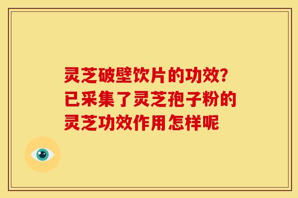 灵芝破壁饮片的功效?已采集了灵芝孢子粉的灵芝功效作用怎样呢 灵芝破壁饮片的功效?已采集了灵芝孢子粉的灵芝功效作用怎样呢