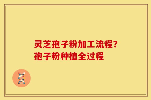 灵芝孢子粉加工流程?孢子粉种植全过程 灵芝孢子粉加工流程?孢子粉种植全过程