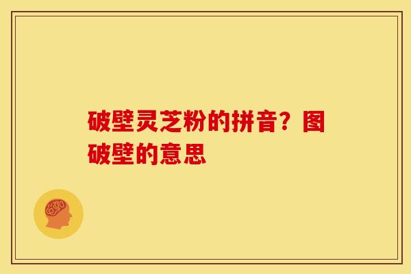 破壁灵芝粉的拼音?图破壁的意思 破壁灵芝粉的拼音?图破壁的意思