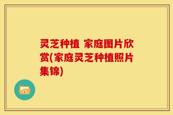 灵芝种植 家庭图片欣赏(家庭灵芝种植照片集锦)