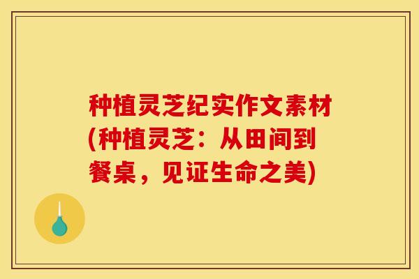 种植灵芝纪实作文素材(种植灵芝:从田间到餐桌,见证生命之美) 种植灵芝纪实作文素材(种植灵芝:从田间到餐桌,见证生命之美)