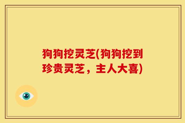 狗狗挖灵芝(狗狗挖到珍贵灵芝,主人大喜) 狗狗挖灵芝(狗狗挖到珍贵灵芝,主人大喜)