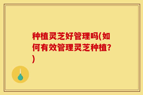 种植灵芝好管理吗(如何有效管理灵芝种植?) 种植灵芝好管理吗(如何有效管理灵芝种植?)