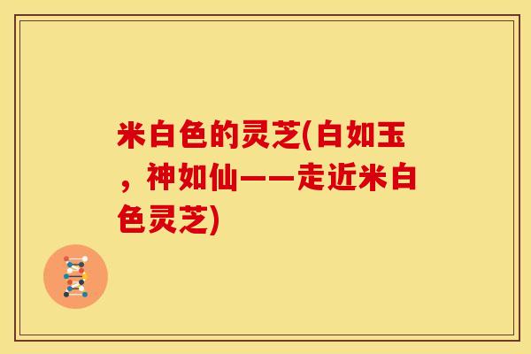 米白色的灵芝(白如玉,神如仙——走近米白色灵芝) 米白色的灵芝(白如玉,神如仙——走近米白色灵芝)