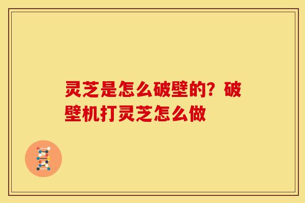 灵芝是怎么破壁的?破壁机打灵芝怎么做 灵芝是怎么破壁的?破壁机打灵芝怎么做