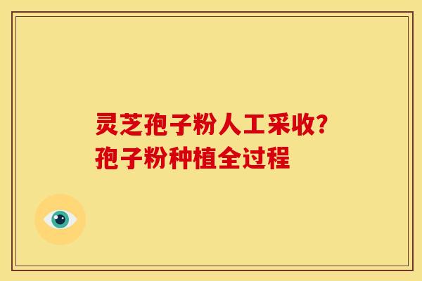 灵芝孢子粉人工采收?孢子粉种植全过程 灵芝孢子粉人工采收?孢子粉种植全过程