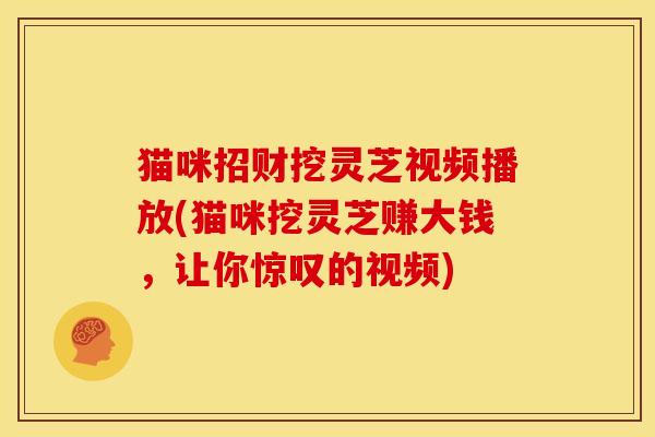 猫咪招财挖灵芝视频播放(猫咪挖灵芝赚大钱,让你惊叹的视频) 猫咪招财挖灵芝视频播放(猫咪挖灵芝赚大钱,让你惊叹的视频)