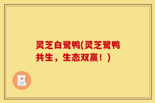 灵芝白鹭鸭(灵芝鹭鸭共生,生态双赢!) 灵芝白鹭鸭(灵芝鹭鸭共生,生态双赢!)