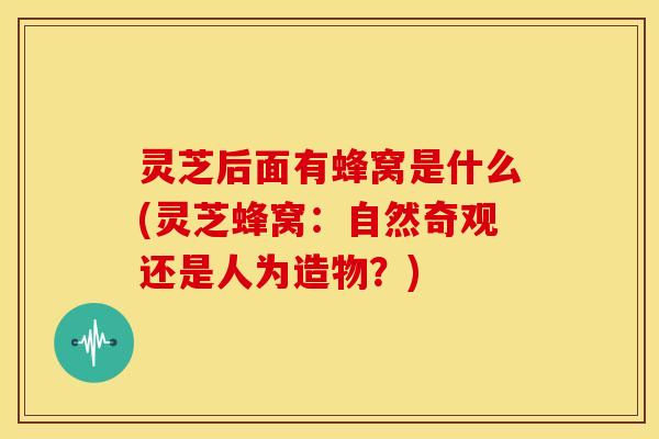 灵芝后面有蜂窝是什么(灵芝蜂窝:自然奇观还是人为造物?) 灵芝后面有蜂窝是什么(灵芝蜂窝:自然奇观还是人为造物?)