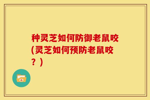 种灵芝如何防御老鼠咬(灵芝如何老鼠咬?) 种灵芝如何防御老鼠咬(灵芝如何老鼠咬?)