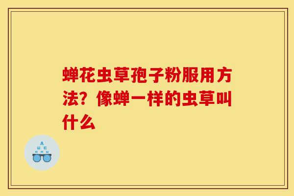 蝉花虫草孢子粉服用方法?像蝉一样的虫草叫什么 蝉花虫草孢子粉服用方法?像蝉一样的虫草叫什么