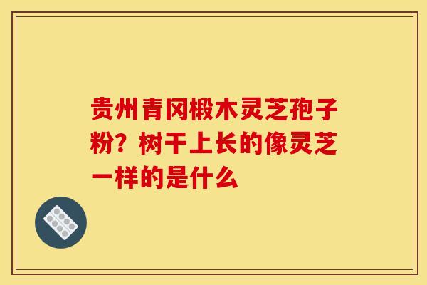 贵州青冈椴木灵芝孢子粉？树干上长的像灵芝一样的是什么