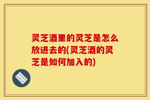 灵芝酒里的灵芝是怎么放进去的(灵芝酒的灵芝是如何加入的) 灵芝酒里的灵芝是怎么放进去的(灵芝酒的灵芝是如何加入的)