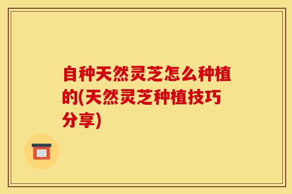 自种天然灵芝怎么种植的(天然灵芝种植技巧分享) 自种天然灵芝怎么种植的(天然灵芝种植技巧分享)