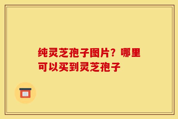 纯灵芝孢子图片?哪里可以买到灵芝孢子 纯灵芝孢子图片?哪里可以买到灵芝孢子