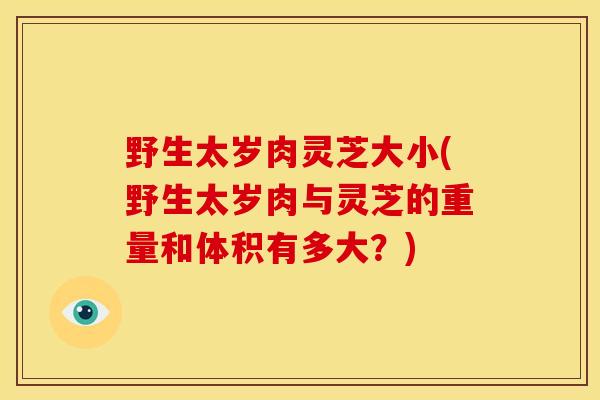 野生太岁肉灵芝大小(野生太岁肉与灵芝的重量和体积有多大?) 野生太岁肉灵芝大小(野生太岁肉与灵芝的重量和体积有多大?)